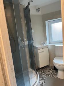 un bagno con doccia e WC di Central Plaza a Katowice Altre 20 foto