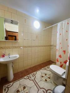 a bathroom with a toilet and a sink at Садиба Орисин Явір Orysyn Yavir in Svityazʼ