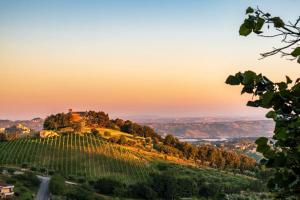 a vineyard on a hill with a castle on it at Tana a 5 STELLE in Capradosso