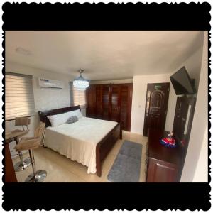 a bedroom with a bed and a tv in it at Apartment city center and cable car in San Felipe de Puerto Plata