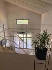 Fotografie z fotogalerie ubytování Pnoe Eco Residences v destinaci Amaliás