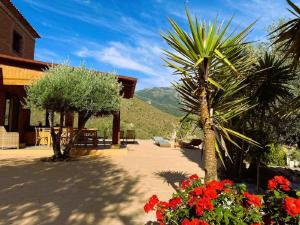 a patio with a palm tree and some flowers at Harmony Home in Alcaucín