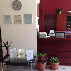 a reception desk with plants and a glass table at Zefyros Hotel in Rhodes Town