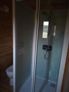 a glass shower in a bathroom with a toilet at Roulotte en bois in Fuveau