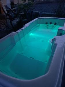 a green bath tub with a cat in the middle at Holiday Home Adricon in Grižane