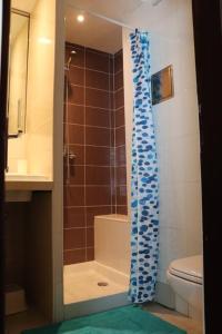 a bathroom with a shower and a toilet at Apartma Luka, Bovec in Bovec
