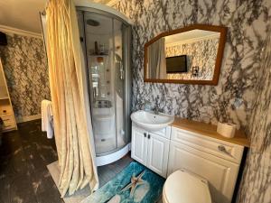 a bathroom with a sink and a toilet and a mirror at The Caduceus- Residence in Chertsey