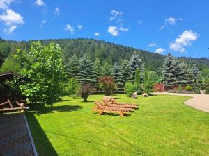 プトナにあるPensiunea Putnisoaraのギャラリーの写真