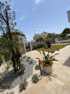 a garden with plants and a bench and a house at Villa Palladino B&B in Santo Spirito