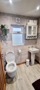 een badkamer met een toilet en een wastafel bij Cosy Hideaway Lodge in Glan Gwna in Caeathro