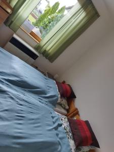 a bedroom with a bed and a green window at SUSAN Apartman in Hajdúszoboszló