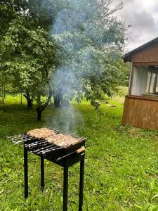 een grill met rook erop in een veld bij Pūrmalas 