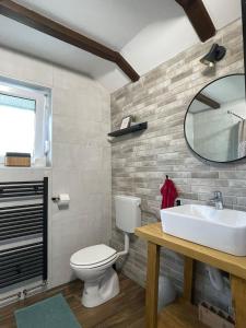 a bathroom with a sink and a toilet and a mirror at Kuća za odmor - Agatha - Bjelolasica in Jasenak +43 photos