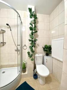 a bathroom with a toilet and a shower with plants on the wall at Z MIŁOŚCI DO GÓR Noclegi in Piechowice