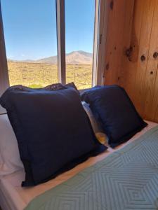 a bed with blue pillows in a room with a window at Tiny house camión fijo en Islas Canarias in Triquivijate