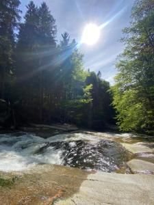 Przyroda w pobliżu tego apartamentu