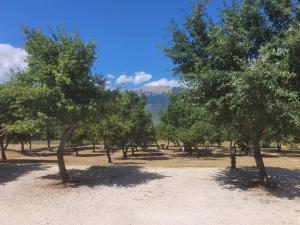 Fotografie z fotogalerie ubytování TENUTA IL GUERRIERO v destinaci Capestrano
