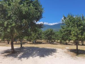 Fotografie z fotogalerie ubytování TENUTA IL GUERRIERO v destinaci Capestrano + 36 fotografií