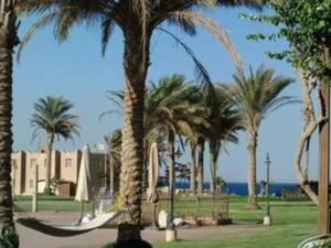un grupo de palmeras con una hamaca en un parque en Villa HALA Sea View - Stella Di Mare - Families, en Zafarana