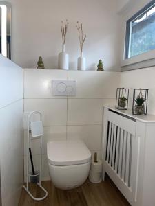 Almsternderl 2.0 - gemütliches Appartment in Gosau的一间浴室