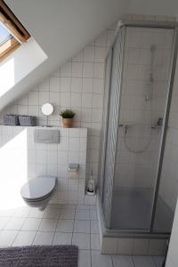 een badkamer met een douche en een toilet bij Ferienhaus Natur Pur, Lenz, Lenzer Höh in Funfseen