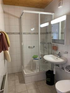 y baño con ducha y lavamanos. en Hotel Haltenegg en Heiligenschwendi