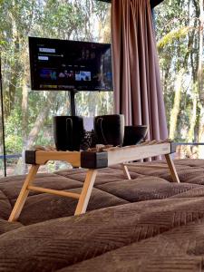 uma televisão em cima de um sofá na sala de estar em Alpes Canela em Canela