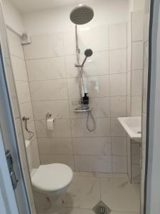 uma casa de banho com um chuveiro, um WC e um lavatório. em Guest House Stojanoski em Ohrid