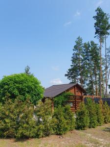a log cabin in the woods with a tree at Eco dom v lesu in Bila Krynytsya