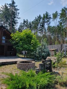 une cour avec un foyer extérieur et un arbre dans l'établissement Eco dom v lesu, à Bila Krynytsya