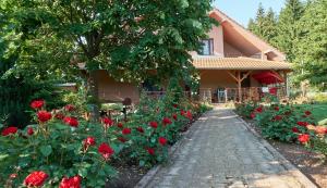 une maison avec un jardin de roses rouges dans l'établissement Vila Raj, planina Ozren - Sokobanja, à Sokobanja