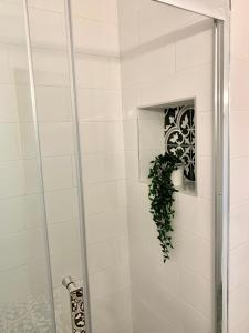 een douche met een plant aan de muur bij Nissi3 B1 Lovely 1Bdr Ground Floor Apartment near Nissi Beach. in Ayia Napa