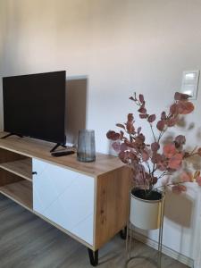 a tv on a cabinet with a potted plant at Modern eingerichtet-stadtnah-Ferienwohnung mit Geschirrspüler und Waschmaschine in Friedland