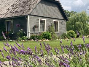 una casa con flores púrpuras delante de ella en Vējavas, en Svettsiyems