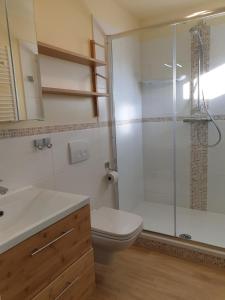 a bathroom with a toilet and a glass shower at Ferienhaus Hahn in Bad Frankenhausen