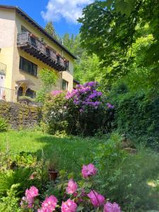 ogród z różowymi kwiatami przed domem w obiekcie Rivendell I3 w mieście Monschau