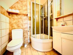 a bathroom with a shower and a toilet and a sink at Wynajem Pokoi-Dom Sw Stanislawa in Zakopane