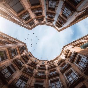 a group of birds flying in the sky through a building at TOC Hotel Las Ramblas in Barcelona