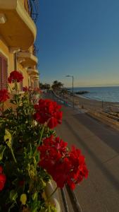 a group of red flowers on the side of a building at Hotel La Lampara in Reggio Calabria