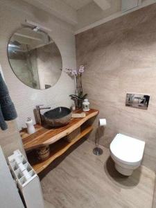 a bathroom with a sink and a toilet and a mirror at La petite Maison d'Enveitg in Enveitg