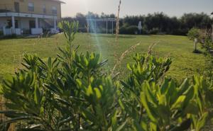 a sprinkler in a field with a building in the background at Natura e Mente Camere e Relax in Vasto