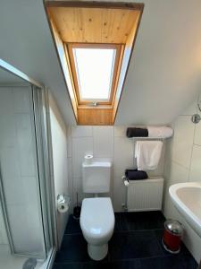a bathroom with a toilet and a skylight at Hotel Alessandro in Neuried