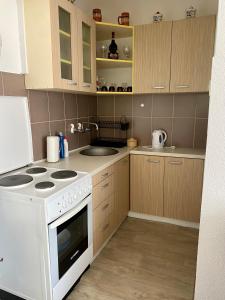 a kitchen with a white stove and a sink at Idila pod Rtnjem - Najam cele vikendice sa bazenom in Ilino