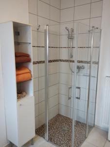 baño con ducha y puerta de cristal en Thüringer Pforte en Gorsleben