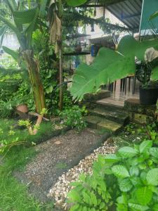 a garden with a walkway and a bunch of plants at Dream Vision Guest House in Diu
