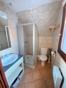 a bathroom with a shower and a sink and a toilet at Le Riquewihrien in Riquewihr