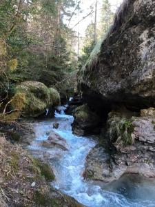 um riacho na floresta com pedras e árvores em Maison Maralpine em Roubion