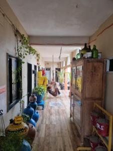 a room filled with lots of plants and vases at Dream Vision Guest House in Diu