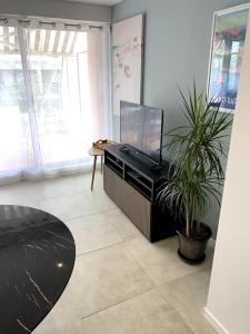 a living room with a tv and a potted plant at Appartement Saint-Raphaël in Saint-Raphaël