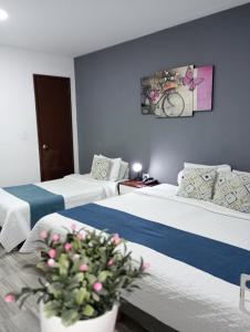 una habitación de hotel con 2 camas y una planta en Hotel Maceo 55 - Colonial Inn en Bogotá